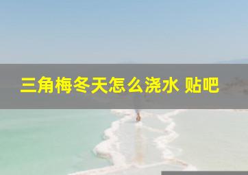 三角梅冬天怎么浇水 贴吧